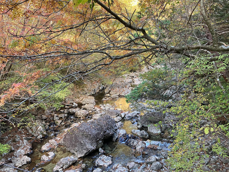 趣味｜渓流釣り｜アルコール体質検査｜木下健司 official site